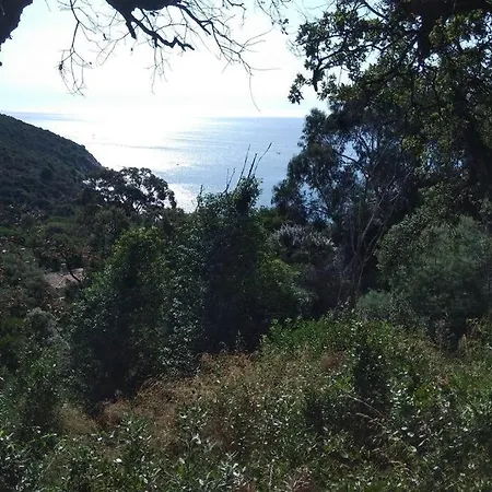 La Croix Du Sud Belinda